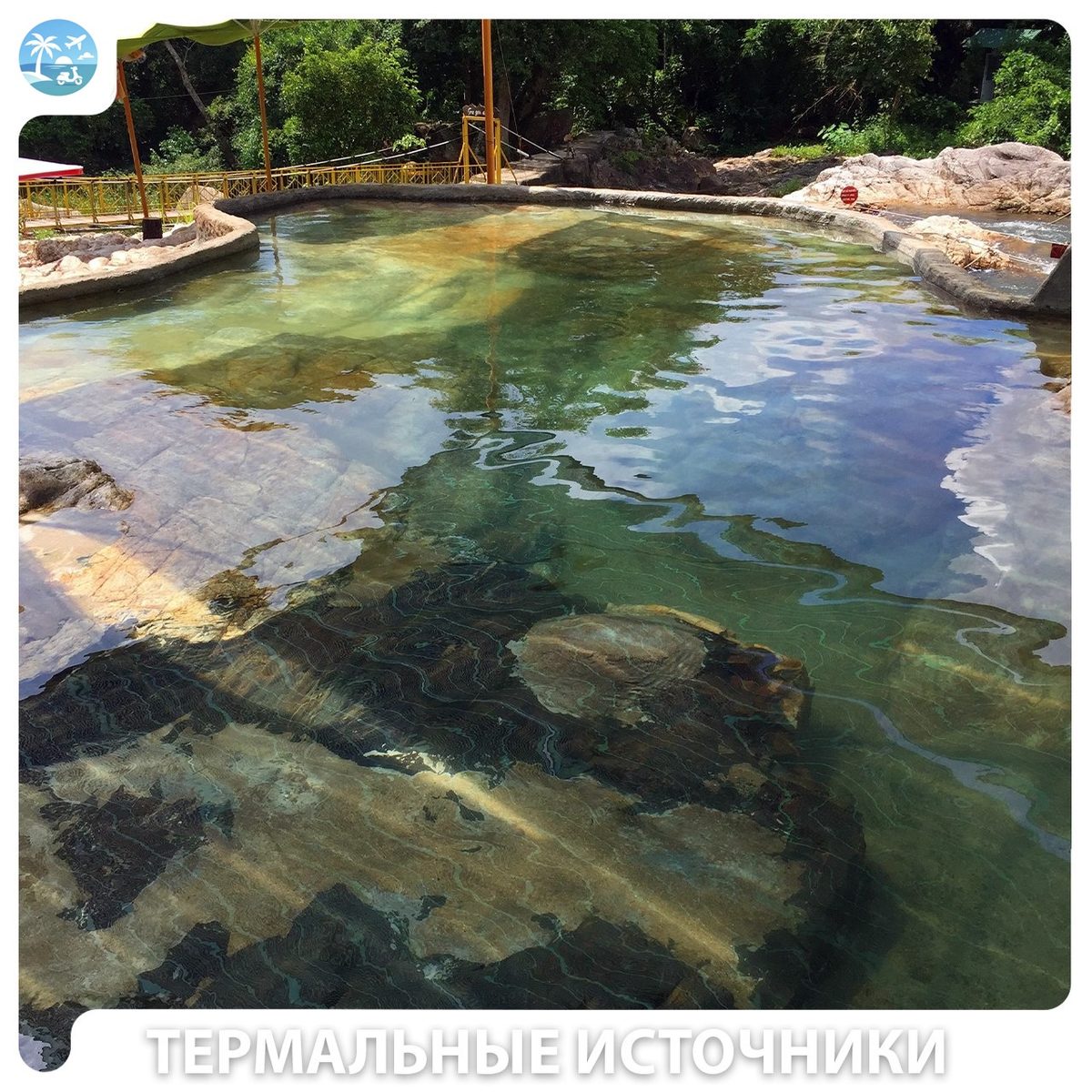 🌿 Эко-парк Янг Бэй — фото 7